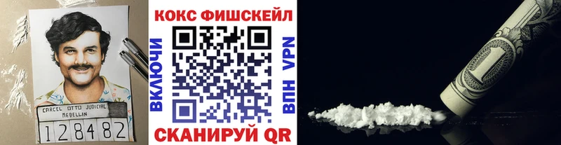 Купить закладки  Кимры  COCAIN Эквадор 