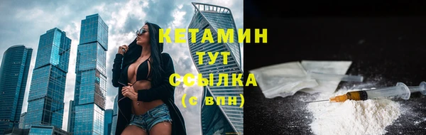 крисы Инта