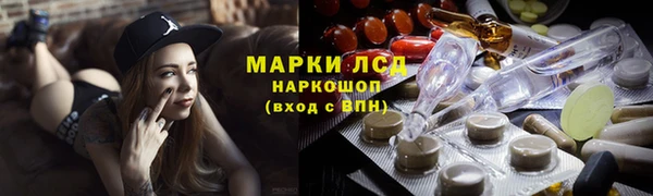 крисы Инта