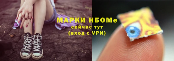 крисы Инта