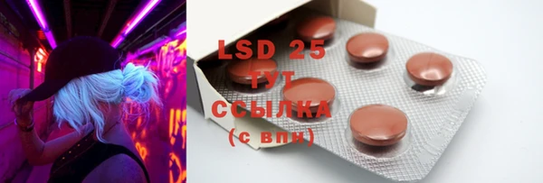 mdpv Инсар