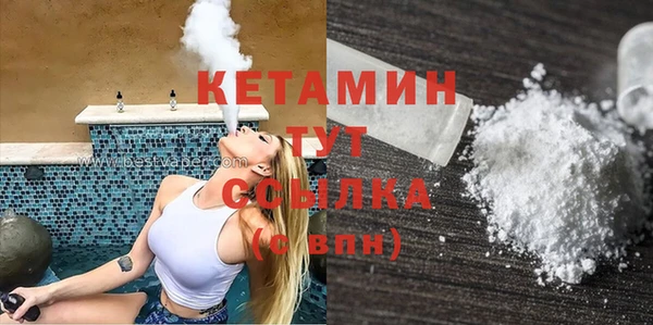 крисы Инта
