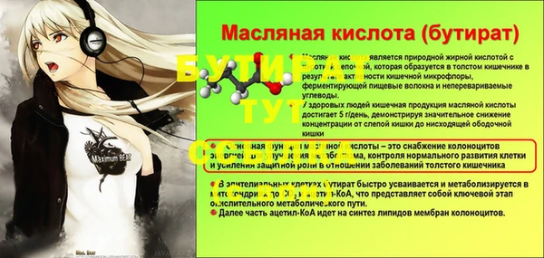 крисы Инта
