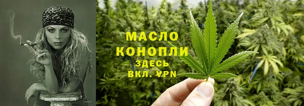 mdpv Инсар