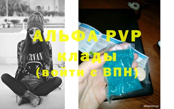 крисы Инта