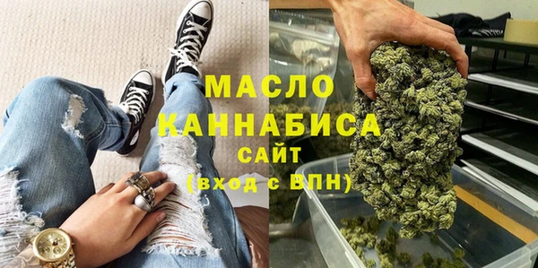 крисы Инта