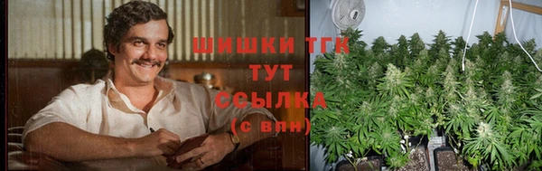 крисы Инта