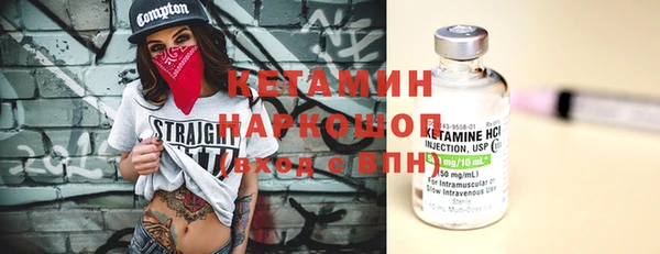 крисы Инта