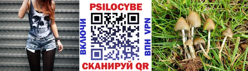 Галлюциногенные грибы Psilocybe  Купить закладки  Кимры 